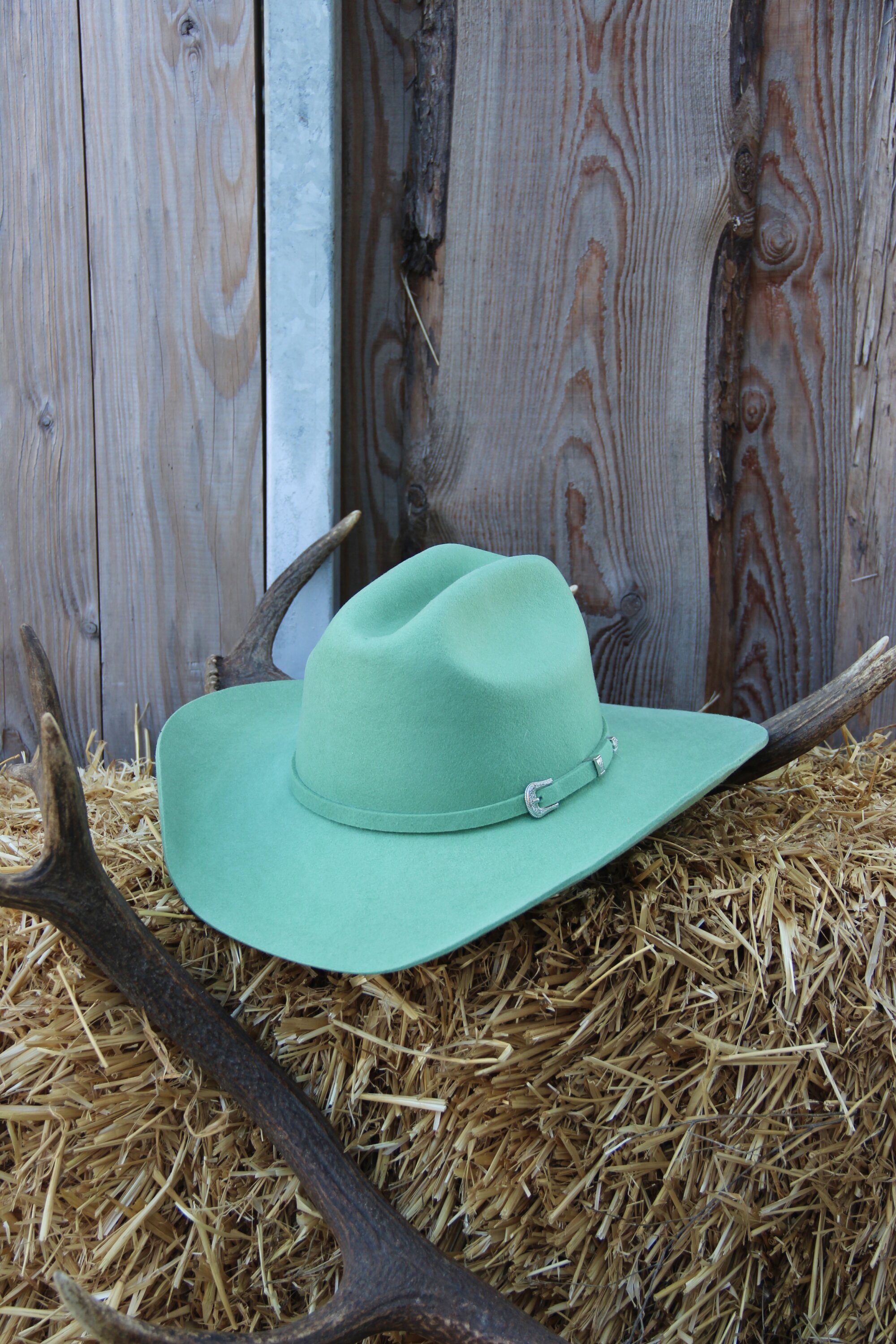 Chapeau Cattleman mint « LG »