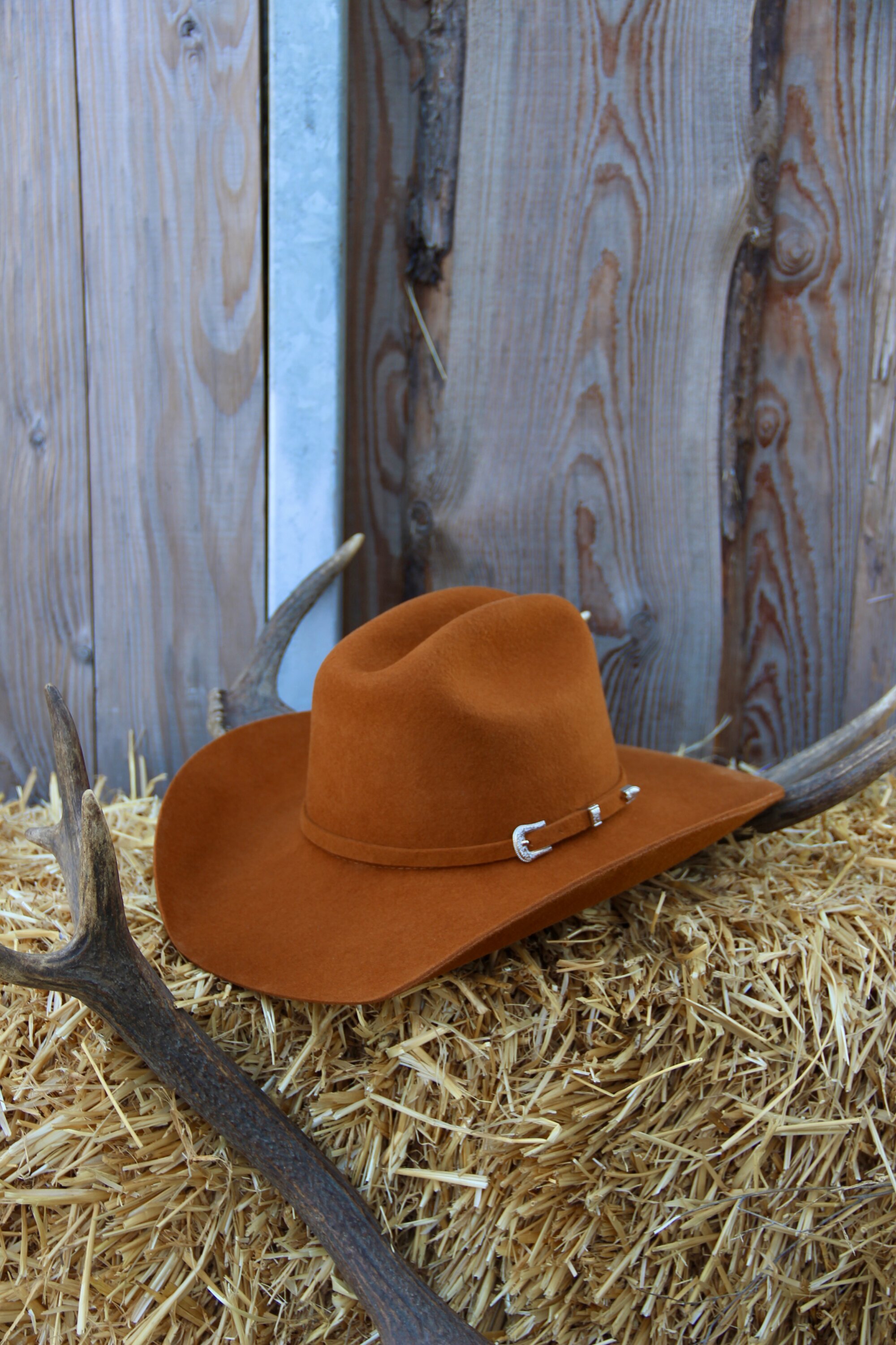 Chapeau Cattleman cigar « SM »