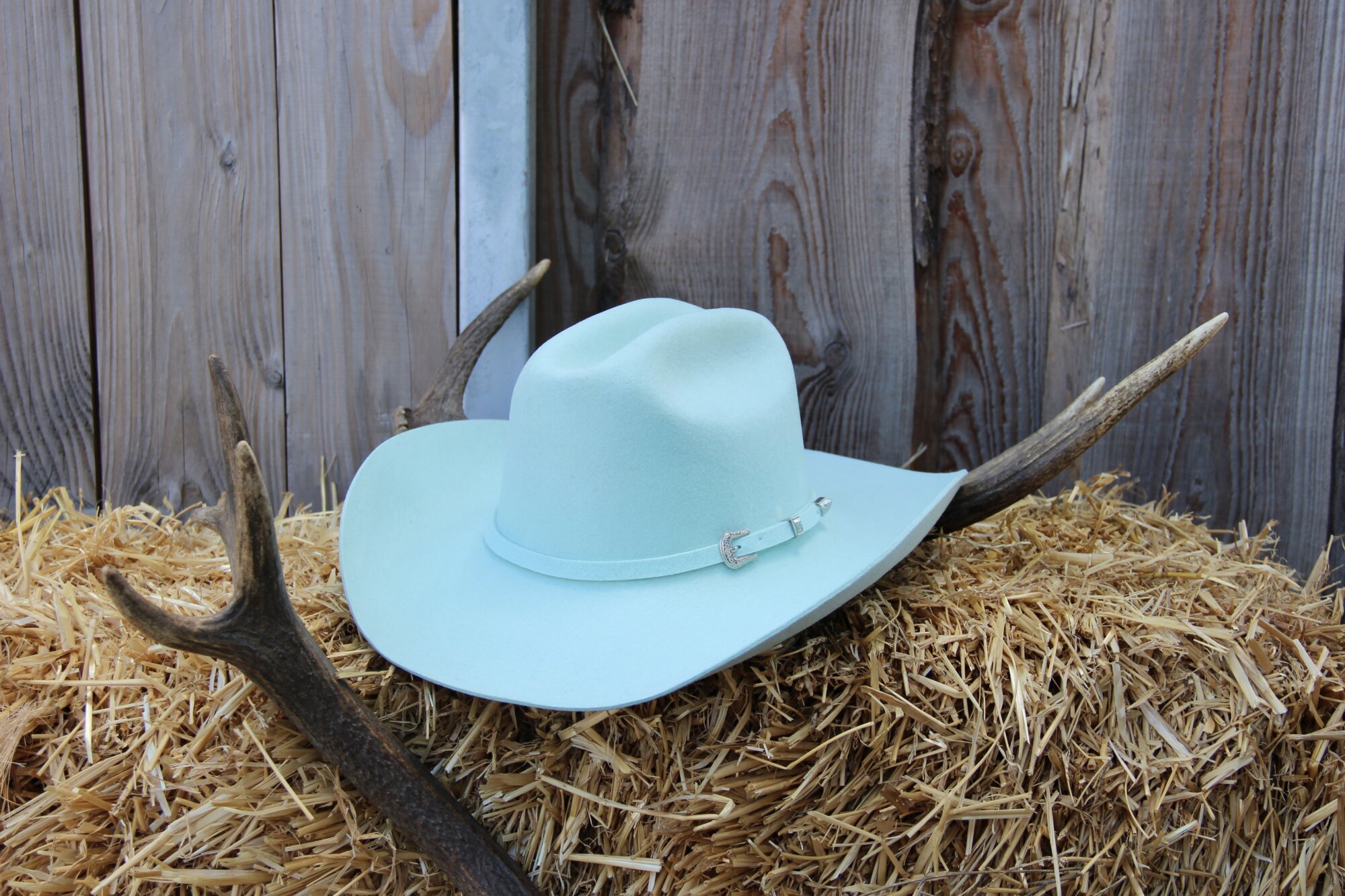 Chapeau Cattleman pastel Green « MD »