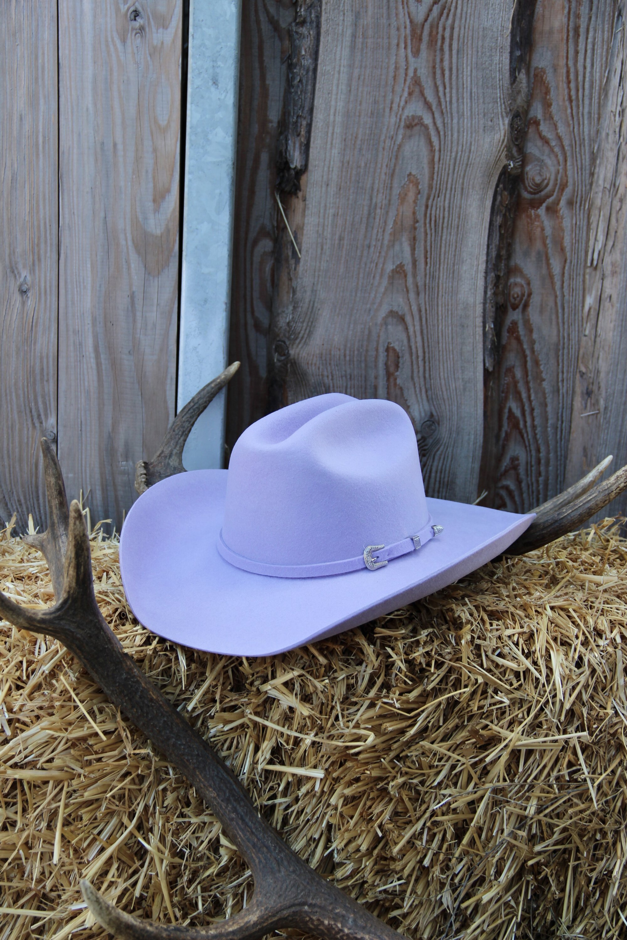 Chapeau Cattleman lilac « MD »